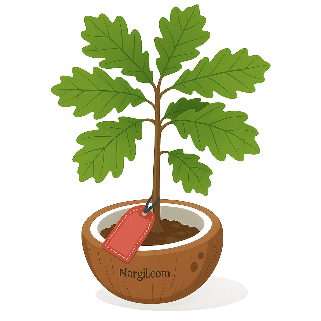  Nargil - chestnut-leaved oak